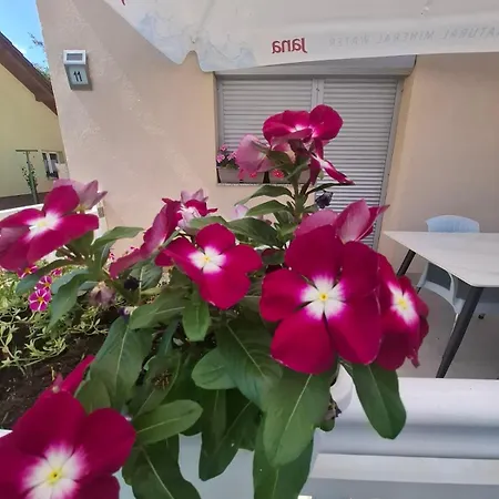 Apartman - Tahric